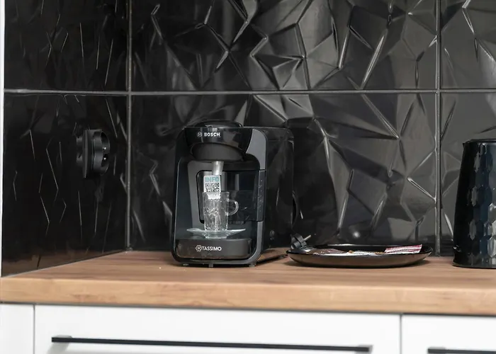 Center With Free Garage By Renters Daire *