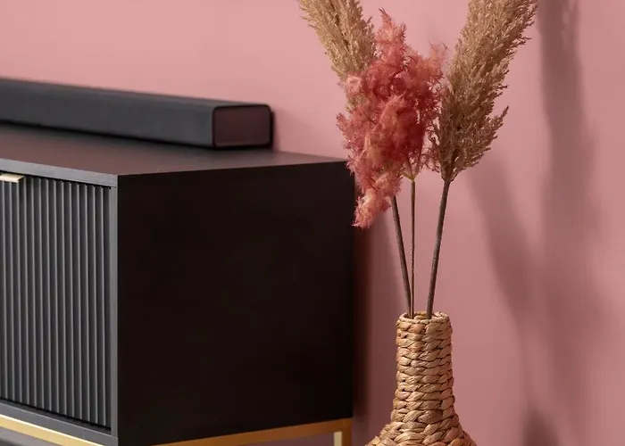 Center With Free Garage By Renters Daire *