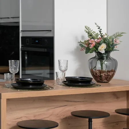 Center With Free Garage By Renters Lägenhet *