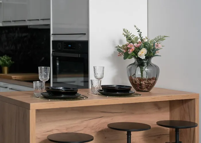 Center With Free Garage By Renters Apartment *